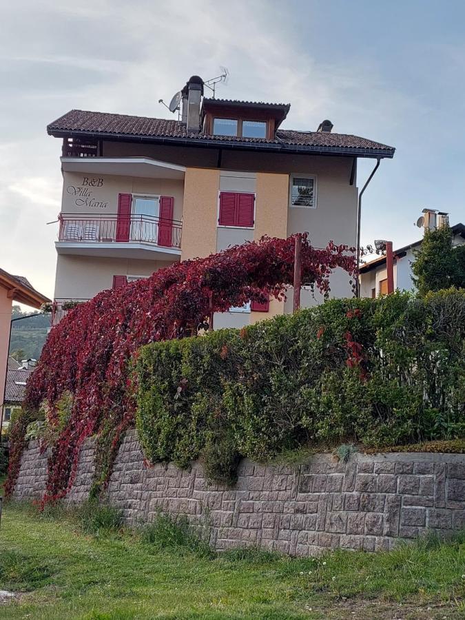 Bed & Breakfast Villa Maria Cavalese Kültér fotó